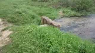Усадьба Рэриха в Изваре