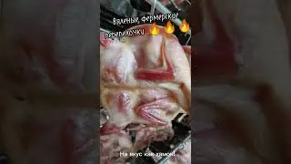 Вяленые перепелочки , вкусненькие и красивые❤️❤️❤️ Ешьте натуральную еду!