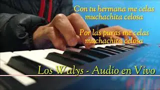 Los Walys CUMBIA Con tu hermana me celas VIVO