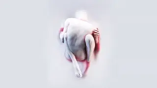 free ⌁ Billie Eilish x Sevdaliza Type Beat - Fuse