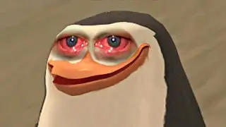 Pingüines 🐧