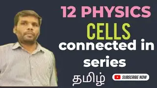Cells connected in series /12std physics cells connected in series