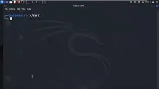 Run Bash/Python Script in Kali Linux Terminal