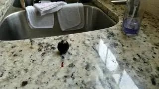 Chopping a cherry
