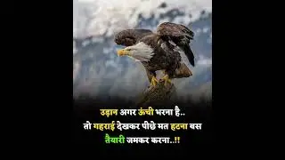 # Today's Thought #