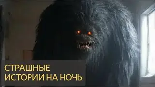 Мистика в жизни людей (ИСТОРИИ)  https://donate.stream/yoomoney41001923687867