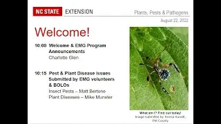 PPP August 2022 | EMG Photos of Pest and Plant Disease Issues