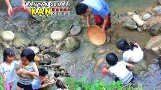ABIS BANJIR ❗NEMU PULUHAN IKAN BESAR TERDAMPAR DI SUNGAI INI❗