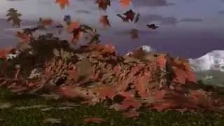 ШОКИРУЮЩЕЕ ВИДЕО.