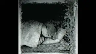 mirrormage - waiting all my life