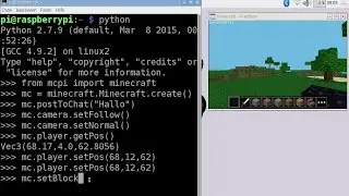 Minecraft mit Python abfragen und steuern | Auszug aus: Raspberry Pi – Der Video-Kurs