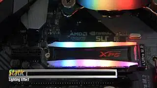 #XPG