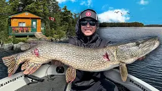 3 Days Living in Remote Canadian Lodge Catching GIANT Fish!