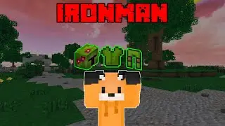 I started to take on mining and farming (Hypixel Skyblock Ironman)
