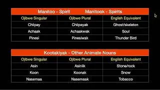 Ojibwe Animate and Inanimate Nouns