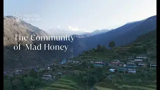 MEDICINAL MAD HONEY: THE COMMUNITY OF MAD HONEY
