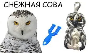 СНЕЖНАЯ СОВА из резинок на рогатке без станка OWL Rainbow Loom