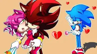 Sonic VS Black | Daily life of Sonic and Amy |Sonic the Hedgehog 2 Animation