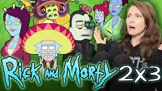 RICK & MORTY 2x3 TV Show Reaction (THIS SHOW IS PURE MADNESS!!!)