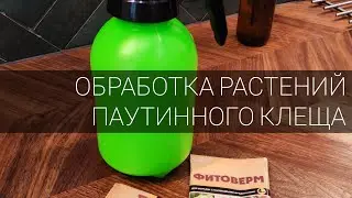 Обработка растений от паутинного клеща
