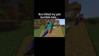 Minecraft Meme