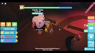Play new game (Wack A Mole Simulator)