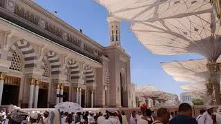 Surah Sura Ibrahim Full Maher Al Mueaqly Muaiqly (no Ads)