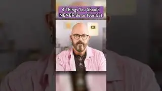NEVER do these things to your cats! #cats #jacksongalaxy
