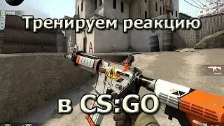 Как натренировать реакцию в CS:GO???