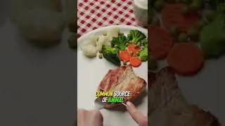 Obsession with Chicken