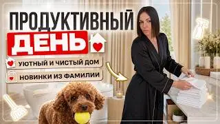 VLOG📸KITCHEN RENOVATION🪜APPLIANCE ORGANIZATION🤩INTERIOR DESIGN NEWS🪞