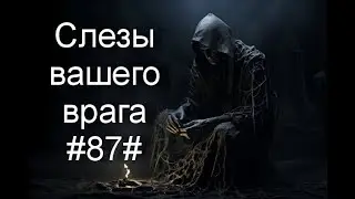 Слезы вашего врага#87#