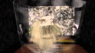 Hair animation