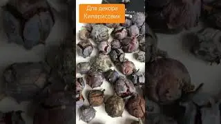Природные материалы для декора в @dikoflora