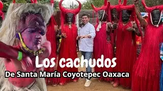 SALIERON LOS CACHUDOS de Santa María Coyotepec Oaxaca.