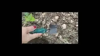 Зачем обманывать?