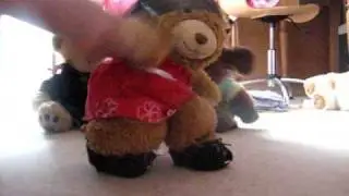 Bear Music! Kill the Lights