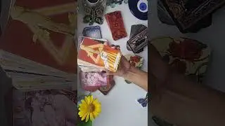Уговорит ли???... 