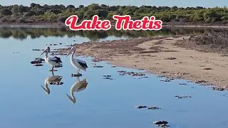 Lake Thetis & The Stromatolites