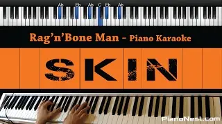 Rag'n'Bone Man - Skin - Piano Karaoke / Sing Along / Cover with Lyrics