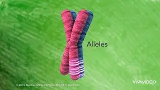 Nurses Zone(documentary)-by-Chipo James Mainda=Meiosis