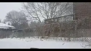 Yesterday in Toronto #winter #snow #canada