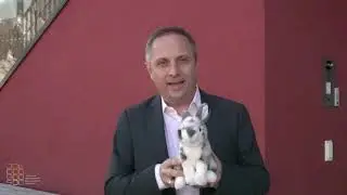 Schulluft schnuppern - Ein Einblick in die JCBS für die kommenden Fünfer!