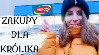 ZAKUPY DLA KRÓLIKA- PEPCO