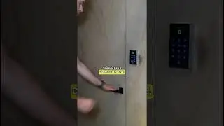 Тайный бар в центре Петербурга. Вход только по коду 