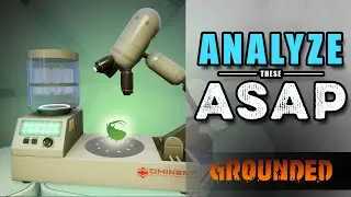 Analyze These Materials FIRST for Ultimate Grounded Survival!