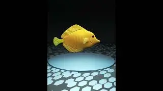 3D modeling & texturing_3D models of marine life.
