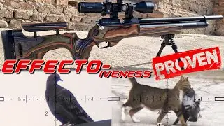 Effecto PX-5 Sport - Shooting Pests plus Review and Tests