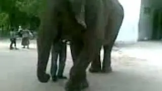 Video from My Phone