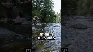 Fly Fishing for Trout in Beautiful Trinity County #shorts #fishing #fish